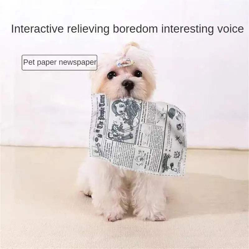 Newspaper Dog Toys Survival Dog