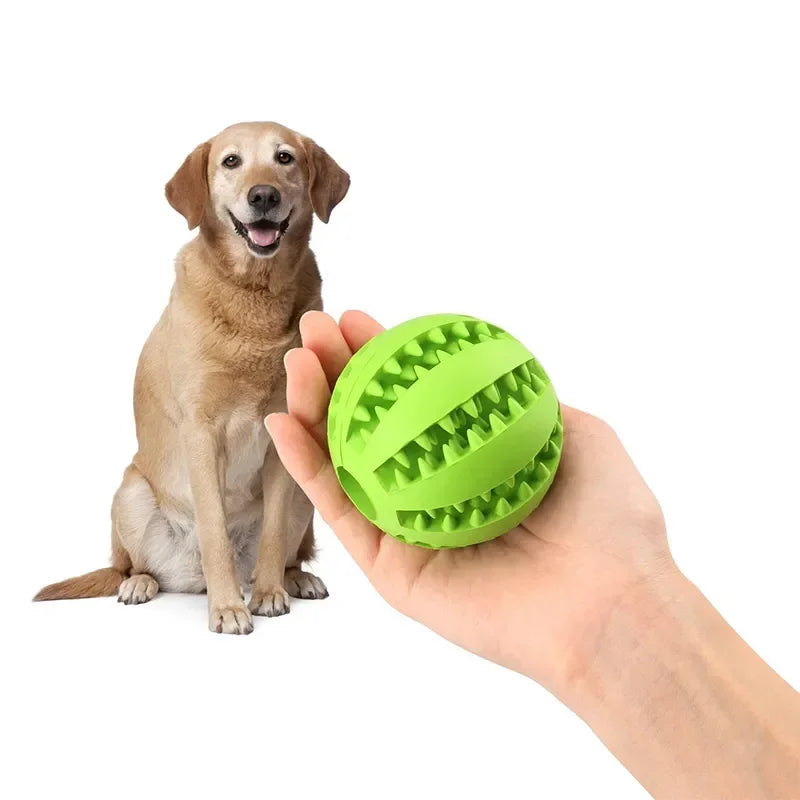 Interactive Rubber Balls for dogs Survival Dog