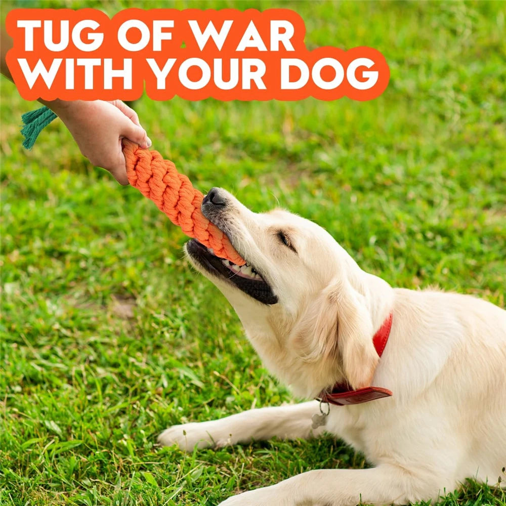 Carrot Dog Bite Chew Rope Survival Dog