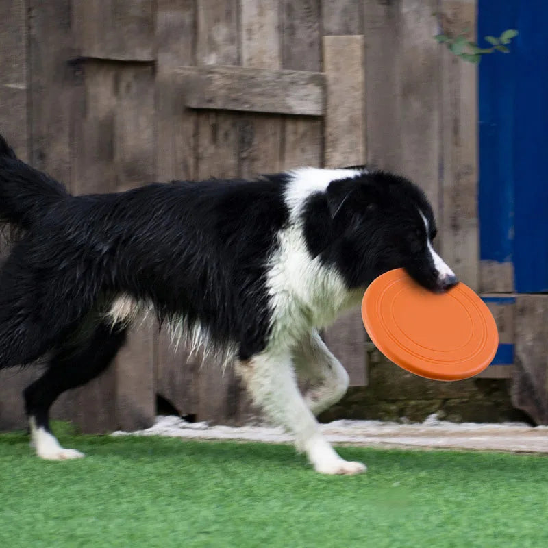 Dog Training Interactive Chew Flying Disc Toy Survival Dog