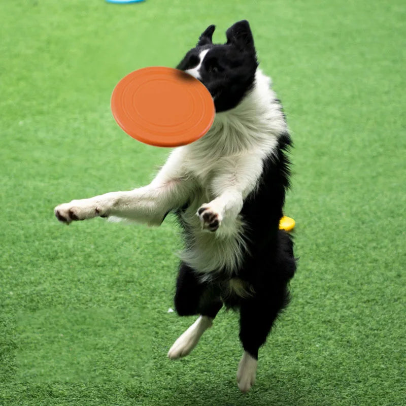 Dog Training Interactive Chew Flying Disc Toy Survival Dog