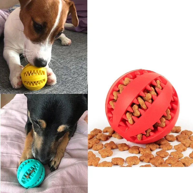 Interactive Rubber Balls for dogs Survival Dog