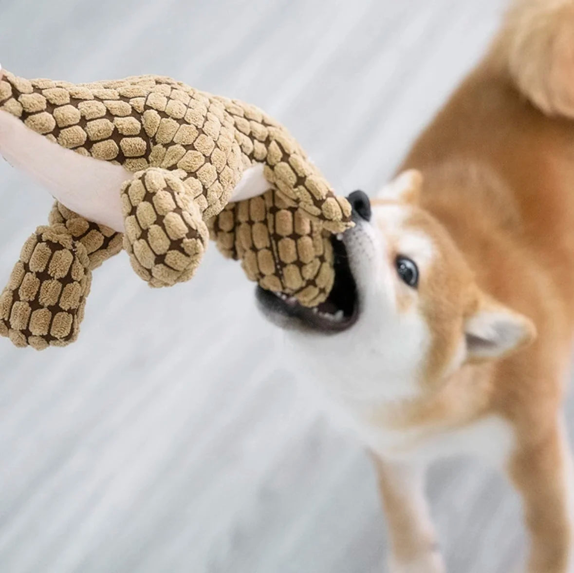 Dogs Pet Plush Dinosaur Interactive Toys Survival Dog