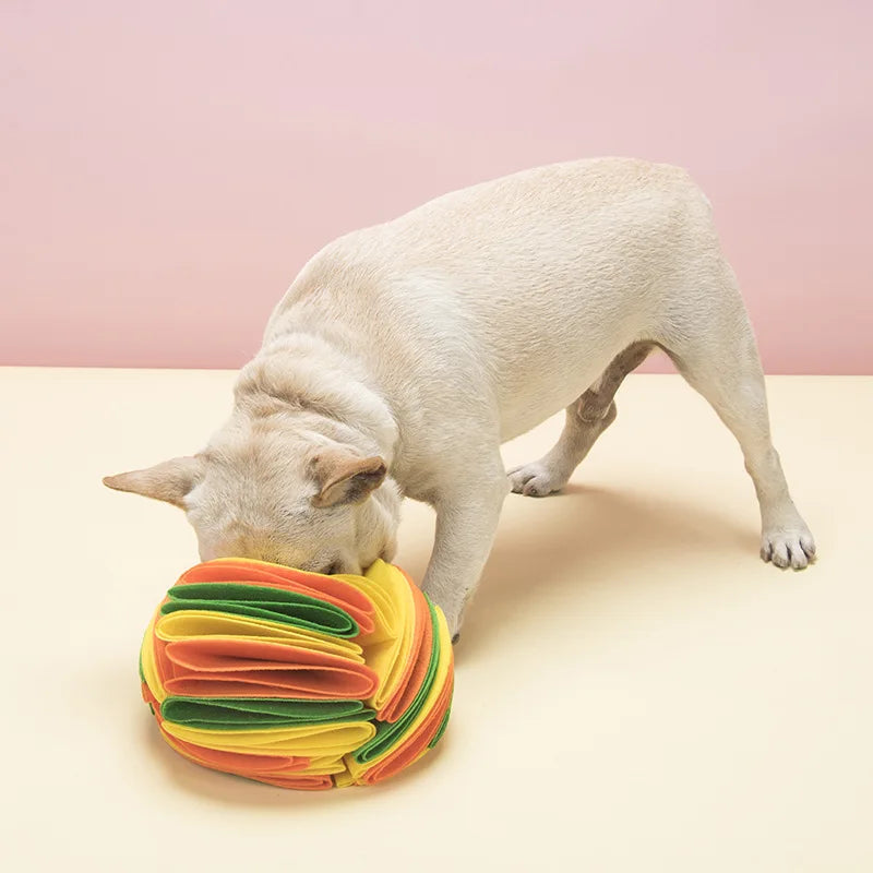 Dogs Snuffle Ball Mat Survival Dog