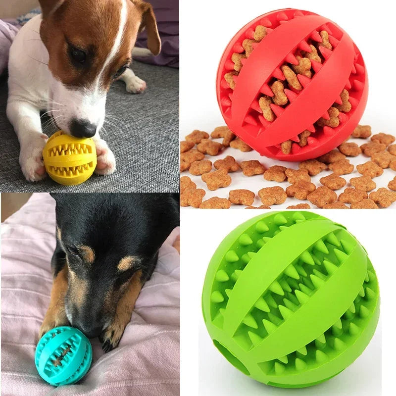 Interactive Rubber Balls for dogs Survival Dog