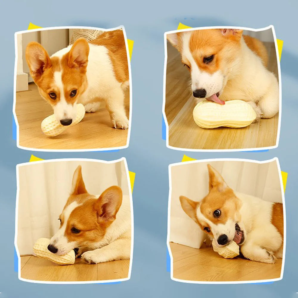 Pet Dog Chew Peanut Toys Survival Dog