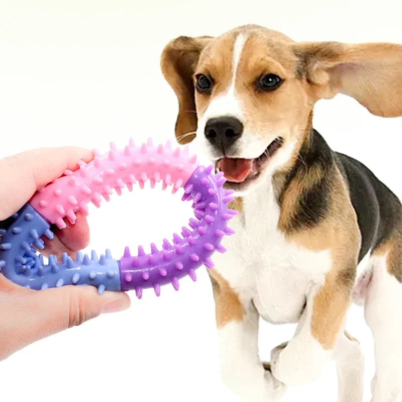 Dog Rubber Thorn Ring Survival Dog