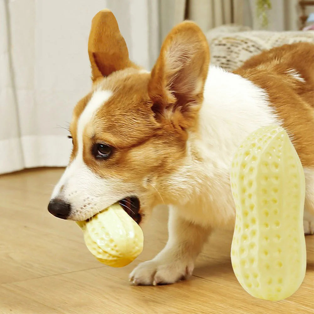 Pet Dog Chew Peanut Toys Survival Dog