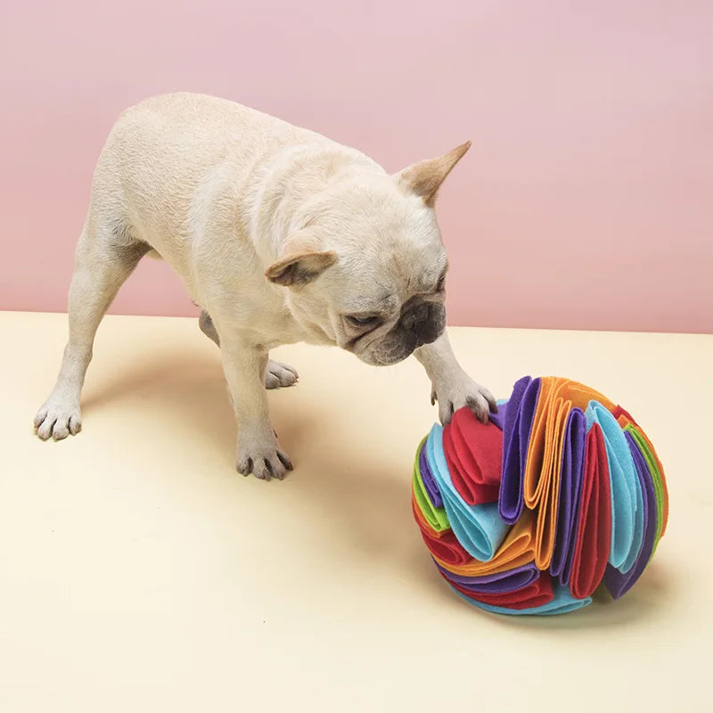 Dogs Snuffle Ball Mat Survival Dog