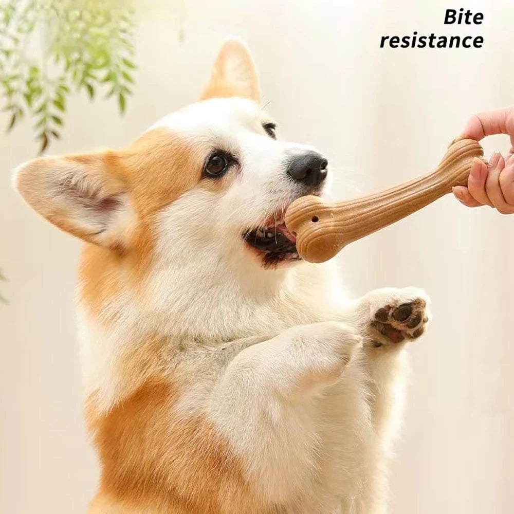 Dog Molar Teeth Clean Stick Survival Dog