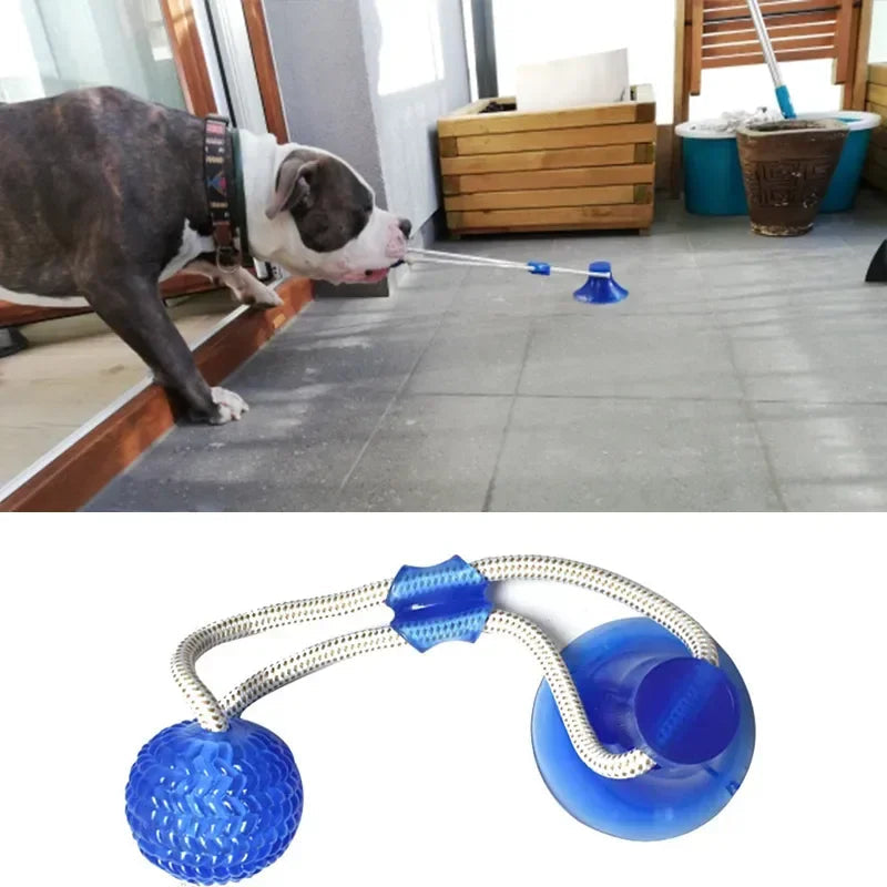 Interactive Rubber Balls for dogs Survival Dog