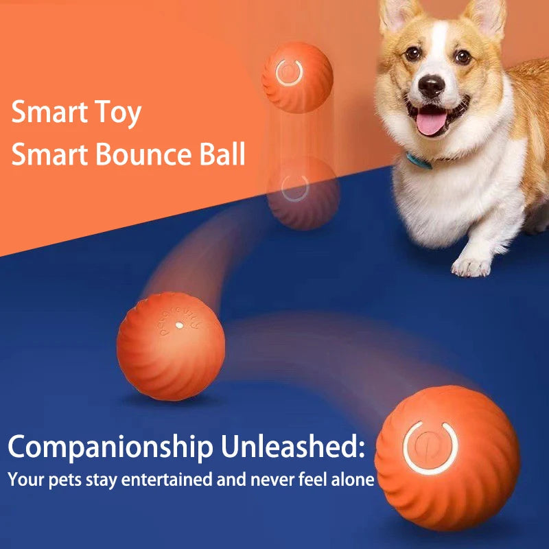 Interactive Dog Toy Ball Survival Dog