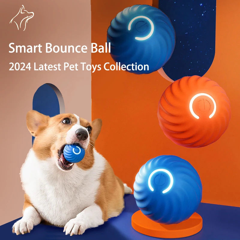 Interactive Dog Toy Ball Survival Dog