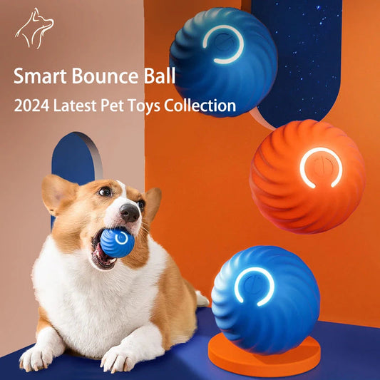 Interactive Dog Toy Ball Survival Dog