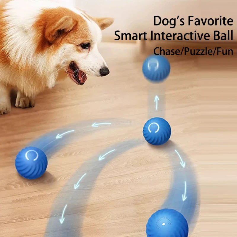 Interactive Dog Toy Ball Survival Dog