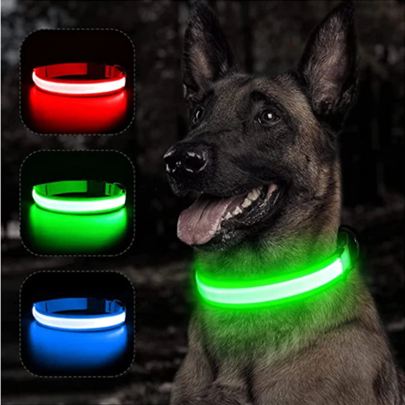 LED Glowing Dog Adjustable Collar Survival Dog