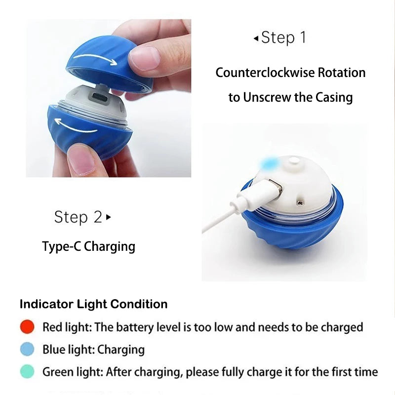 Interactive Dog Toy Ball Survival Dog