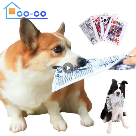 Newspaper Dog Toys Survival Dog