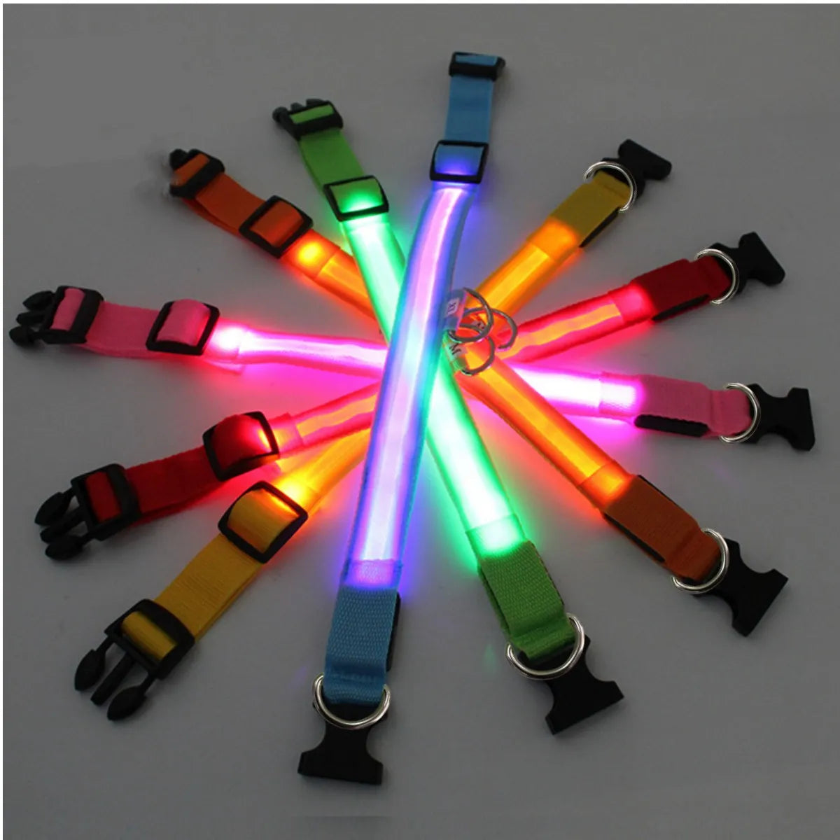 LED Glowing Dog Adjustable Collar Survival Dog