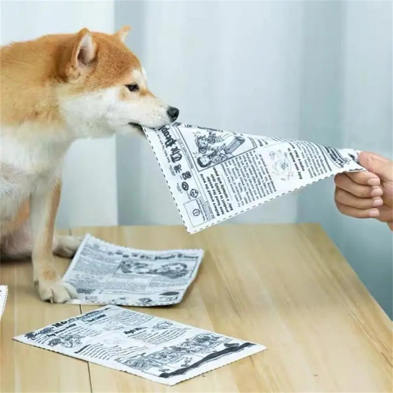 Newspaper Dog Toys Survival Dog