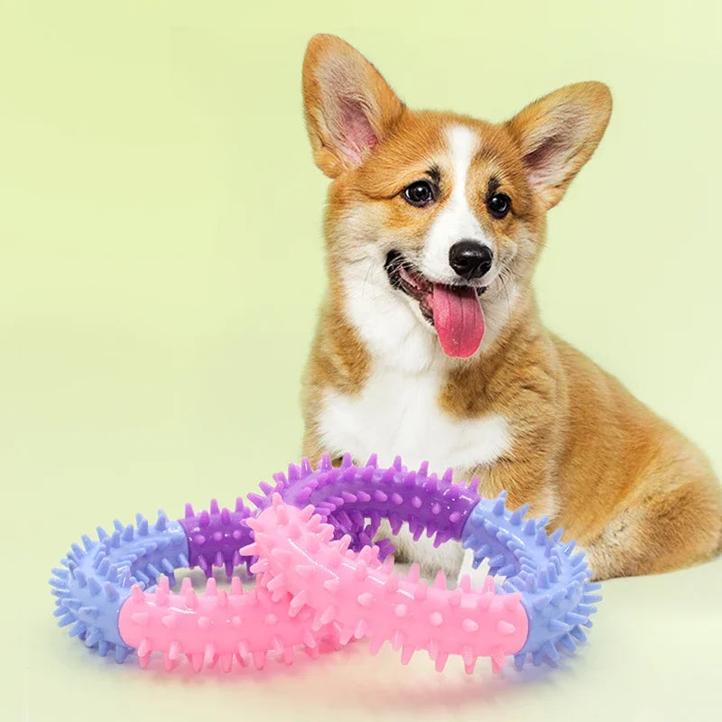 Dog Rubber Thorn Ring Survival Dog