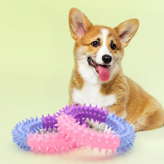 Dog Rubber Thorn Ring Survival Dog