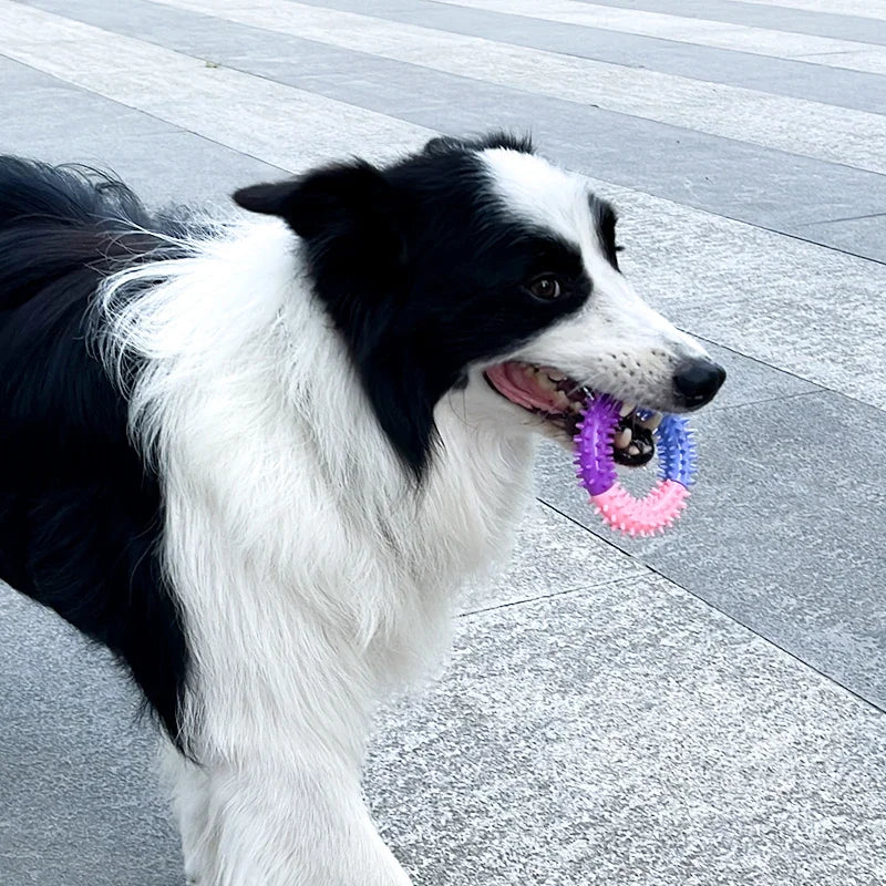Dog Rubber Thorn Ring Survival Dog