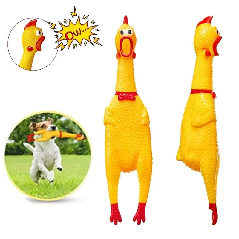 Dog Chicken Squeak Toys Survival Dog