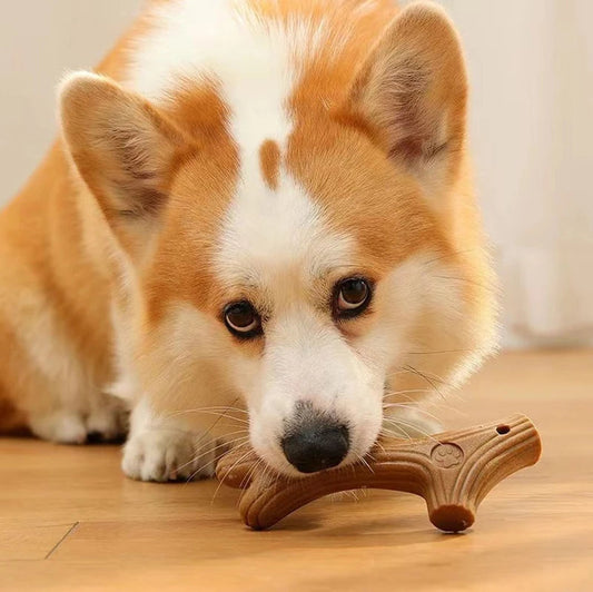 Dog Molar Teeth Clean Stick Survival Dog
