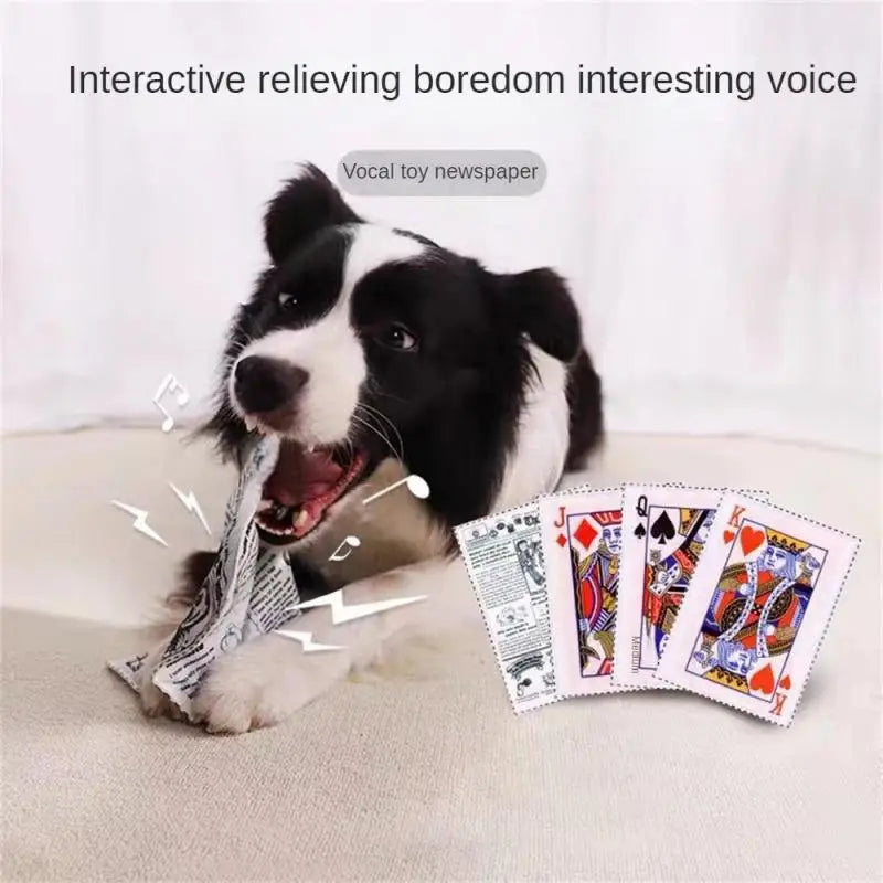 Newspaper Dog Toys Survival Dog