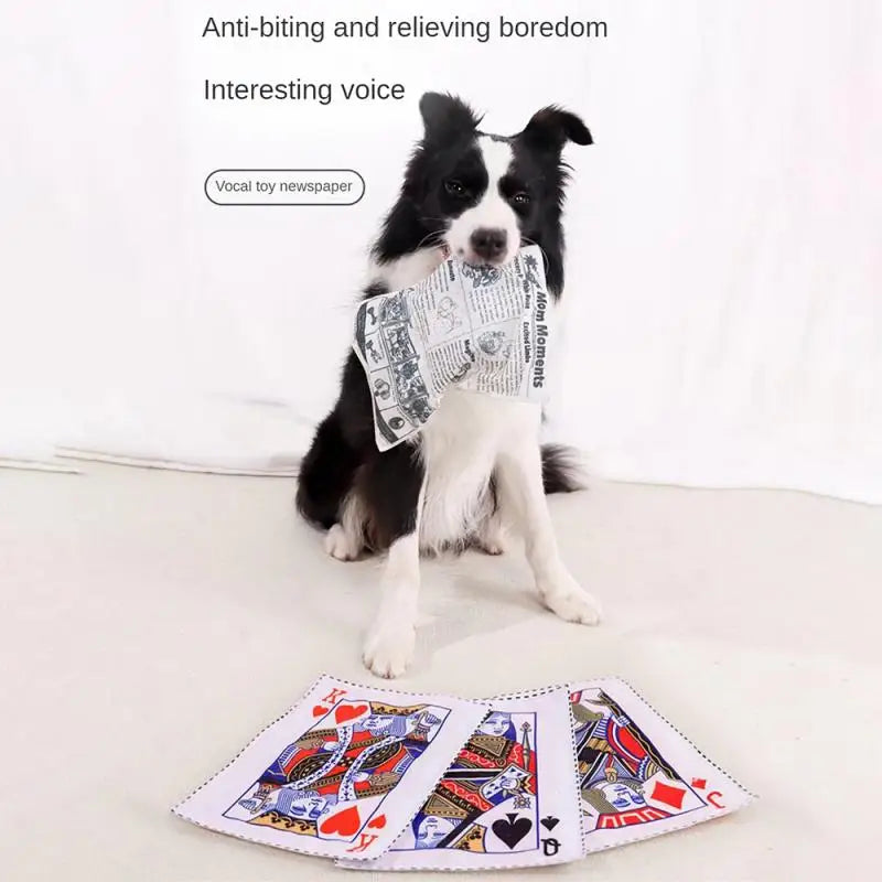 Newspaper Dog Toys Survival Dog