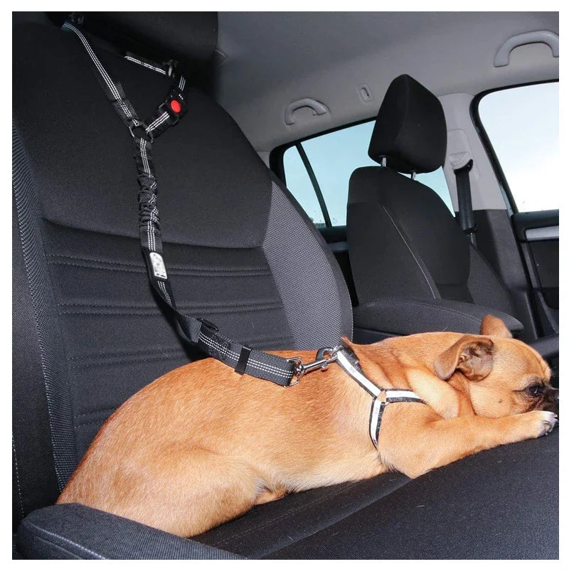 Two-in-one Dog Safety Belt Survival Dog