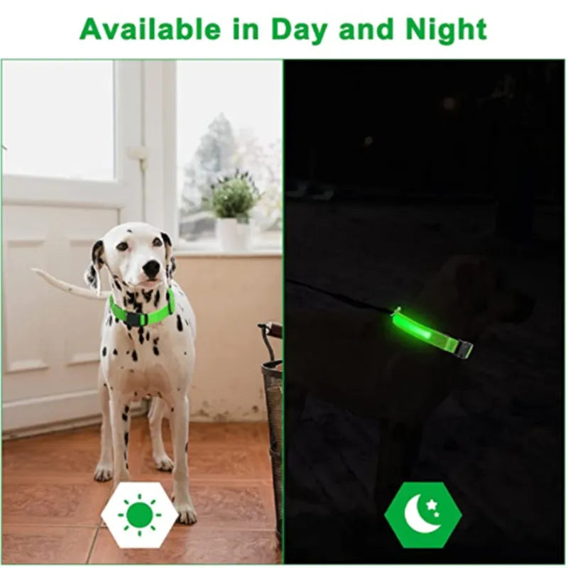 LED Glowing Dog Adjustable Collar Survival Dog