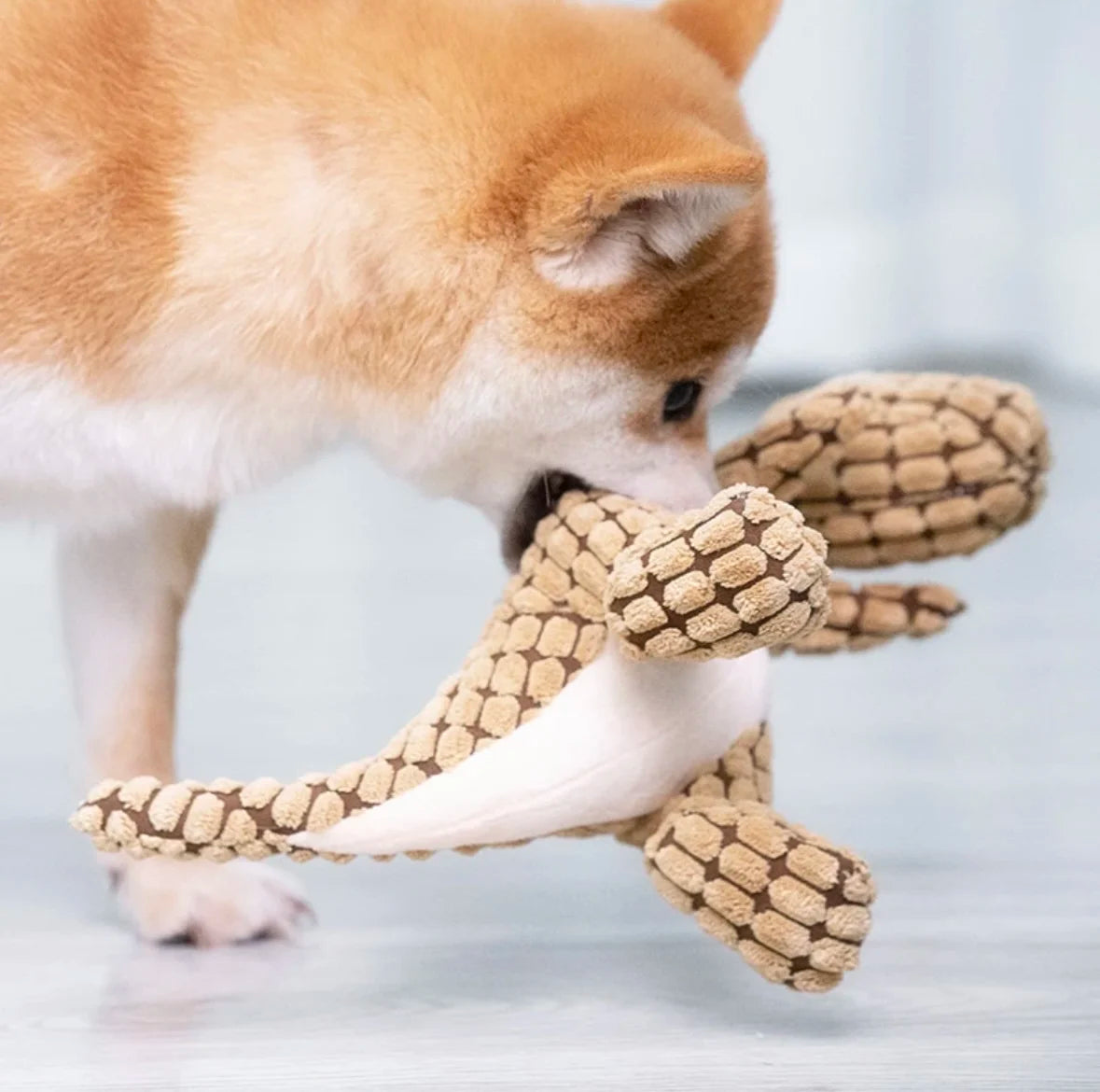 Dogs Pet Plush Dinosaur Interactive Toys Survival Dog