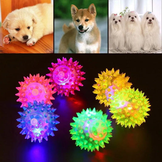Dog Colorful Squeaky Toys Survival Dog