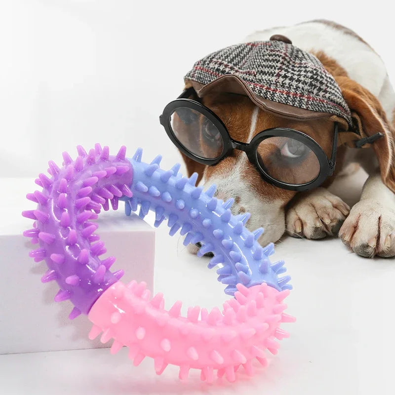 Dog Rubber Thorn Ring Survival Dog